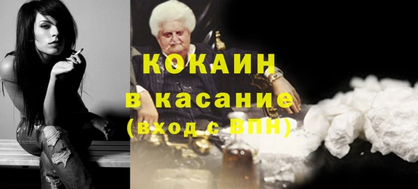 прущие грибы Ростов