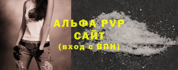 прущие грибы Ростов
