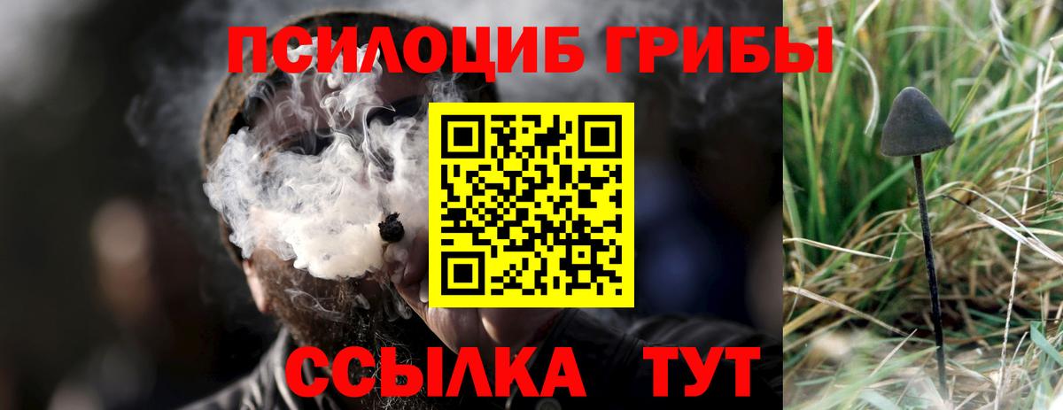 Псилоцибиновые грибы MAGIC MUSHROOMS  Галлюциногенные грибы прущие грибы  Вход с VPN  Саяногорск 